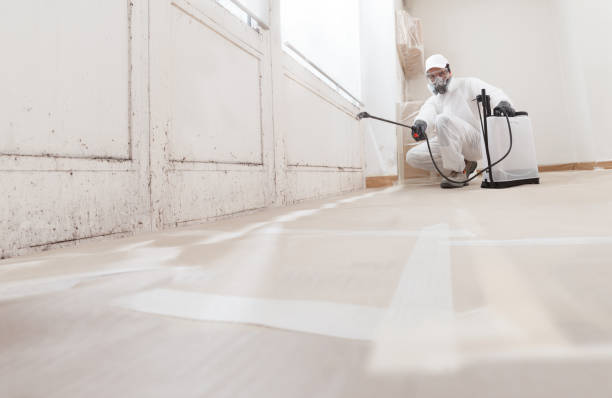24/7 Emergency Mold Cleanup experts in Jeffersonton, VA